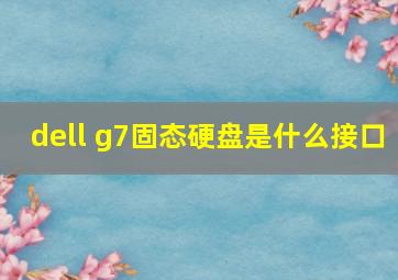 dell g7固态硬盘是什么接口